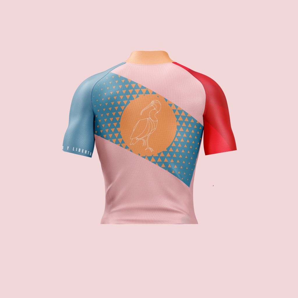 Click to read more about this jersey and its story. 
