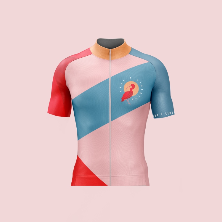 Click to read more about this jersey and its story.